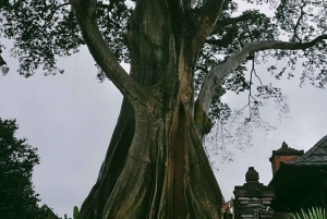 Bali: Spirit of Tabanan Motorcycle Tour