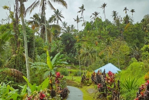 Bali: Spirit of Tabanan Motorcycle Tour