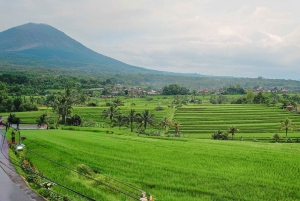 Bali: Spirit of Tabanan Motorcycle Tour