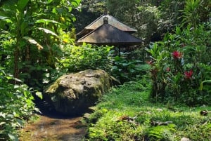 Bali Spiritual: Välsignelseceremoni, orörd natur, transfer