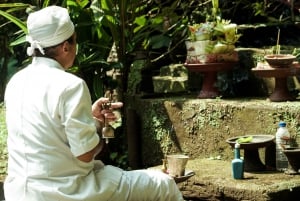 Espiritualidade em Bali: Cerimônia de bênção, natureza intocada, traslado