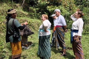 Bali Spirituel : Cérémonie de bénédiction, Nature vierge, Transfert