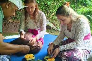 Bali Spiritual: Velsignelsesseremoni, uberørt natur, Overføring