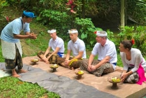 Bali Spiritual: Velsignelsesseremoni, uberørt natur, Overføring