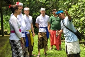 Bali Spiritual: Velsignelsesseremoni, uberørt natur, Overføring