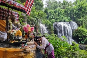 Bali: Spiritual Journey with Purification Reflect & Spa