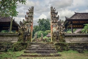 Bali: Visita espiritual com meditação e cerimónia Puja