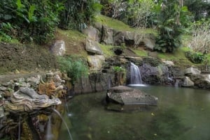 Bali: Visita espiritual com meditação e cerimónia Puja