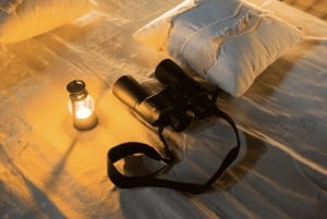 Bali Stargazing & Telescope – Guided Astronomy Experience