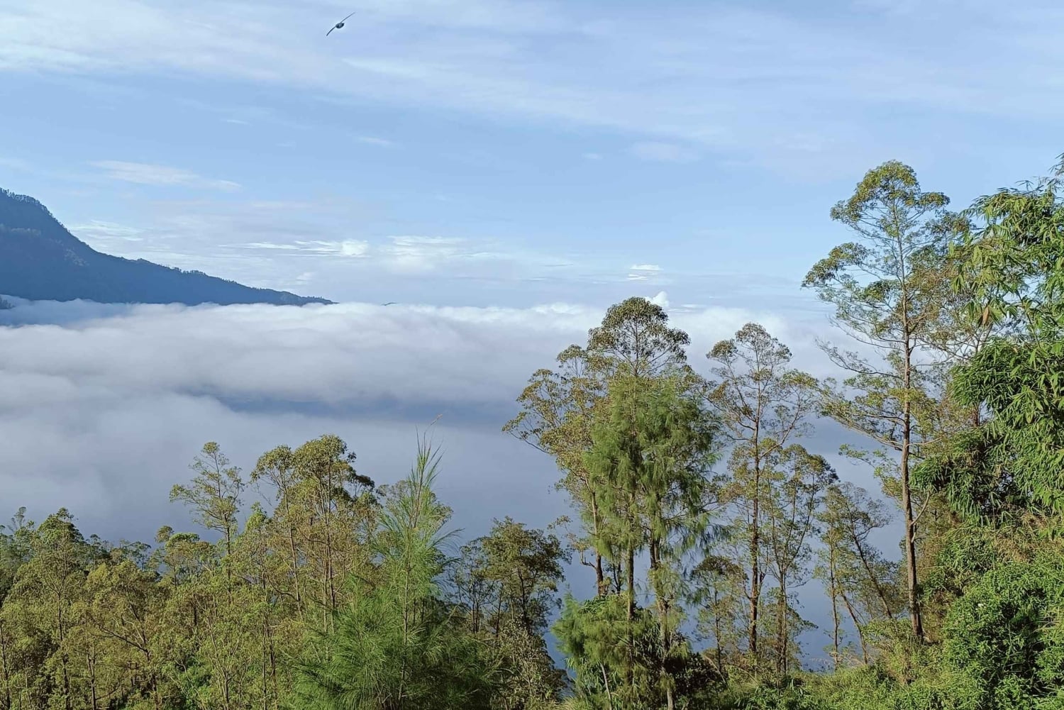 Bali Sunrise, ATV, Coffee & Secret Waterfall