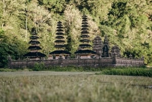 Bali: Sunrise Canoe & Hidden Temple Trek at Lake Tamblingan