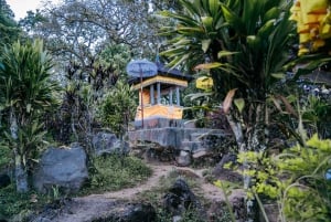 Bali: Sunrise Canoe & Hidden Temple Trek at Lake Tamblingan