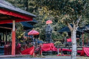 Bali: Sunrise Canoe & Hidden Temple Trek at Lake Tamblingan