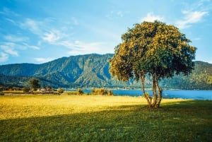 Bali: Sunrise Dolphin Snorkel, Waterfall & UNESCO Temple
