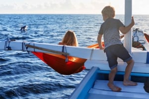 Bali: Sunrise Dolphin Snorkel, Waterfall & UNESCO Temple