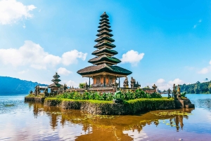 Bali: Sunrise Dolphin Snorkel, Waterfall & UNESCO Temple