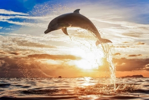 Bali: Sunrise Dolphin Snorkel, Waterfall & UNESCO Temple