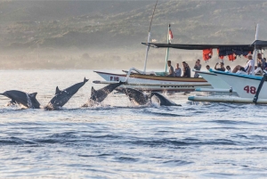 Bali: Sunrise Dolphin Snorkel, Waterfall & UNESCO Temple