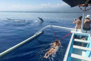 Bali: Sunrise Dolphin Snorkel, Waterfall & UNESCO Temple