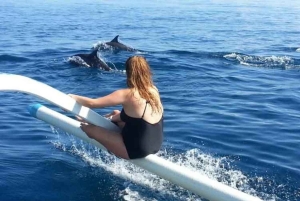 Bali: Sunrise Dolphin Snorkel, Waterfall & UNESCO Temple