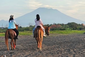 Bali Sunrise Horse Riding