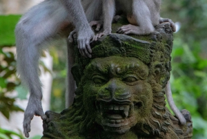 Bali: Excursión en Jeep por Kintamani al Amanecer con la Selva de los Monos