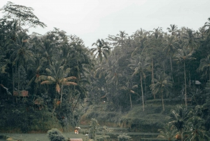 Bali: Excursión en Jeep por Kintamani al Amanecer con la Selva de los Monos