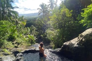 Bali: Sunrise, Snorkeling, Waterfalls, and Coffee Tour