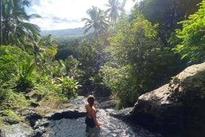 Bali: Sunrise, Snorkeling, Waterfalls, and Coffee Tour
