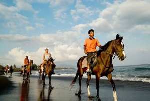 Bali Sunset Horse Ride by the Kedungu Beach