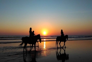 Bali Sunset Horse Ride by the Kedungu Beach