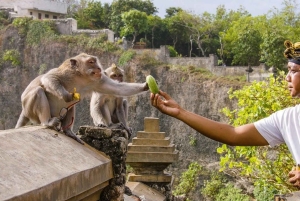 Bali: Zachód słońca w świątyni Uluwatu i taniec ognia Kecak - wycieczka prywatna