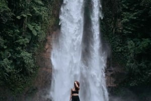 Bali: Swim with Dolphins, Ulundanu Bratan & Scenic Waterfall