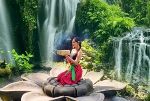 バリ島：スウィングヘブンとグリヤベジ浄化の泉への入場をご利用ください