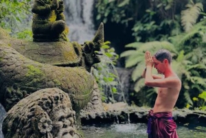 バリ島：スウィングヘブンとグリヤベジ浄化の泉への入場をご利用ください