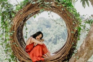 Bali Swing Packages - Jungle Swing and Photo Spot