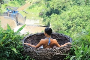 Bali Swing-paket - djungelgunga och fotoplats