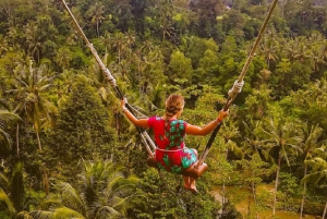 Bali Swing, Rice Terrace and Hidden Gem Waterfall Tour