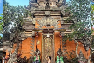 Bali Swing, Rice Terrace and Hidden Gem Waterfall Tour