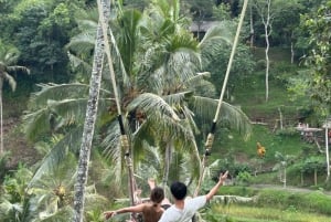 Bali: Sving-, fossefall- og tempeltur med henting på hotellet
