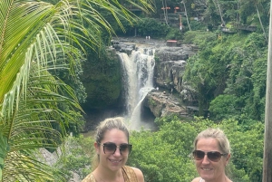 Bali: Sving-, fossefall- og tempeltur med henting på hotellet