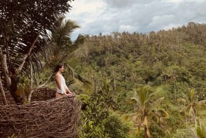 Bali: Swing med vattenfall, risterrass och apskog som tillval