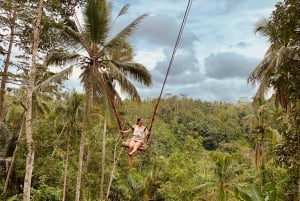 Bali: Gynge med vandfald, risterrasse og mulighed for abeskov