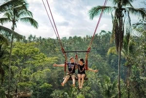 Bali: Swing with Falls, Rice Terrace, & Monkey Forest Option