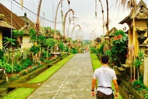 Bali: Swing with Falls, Rice Terrace, & Monkey Forest Option