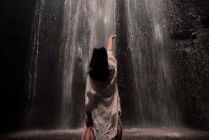 Bali: Swing with Falls, Rice Terrace, & Monkey Forest Option