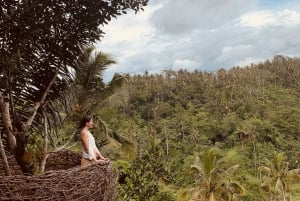 Bali: Swing with Falls, Rice Terrace, & Monkey Forest Option