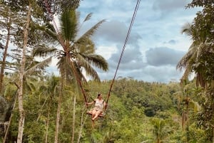 Bali: Swing with Falls, Rice Terrace, & Monkey Forest Option