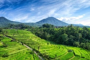 Bali: Taman Ayun, Jatiluwih, Ulun Danu, and Tanah Lot Tour