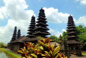 Bali : Taman ayun, Tanah Lot,Rice Terrace etc. /Private tour